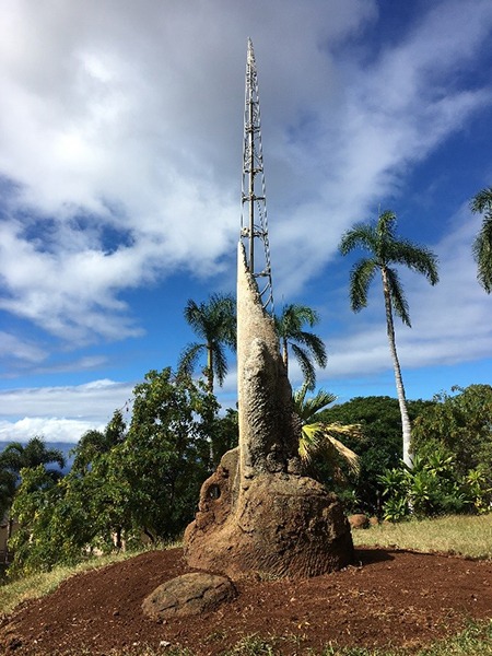View of the sculpture with sky and foliage in the background.