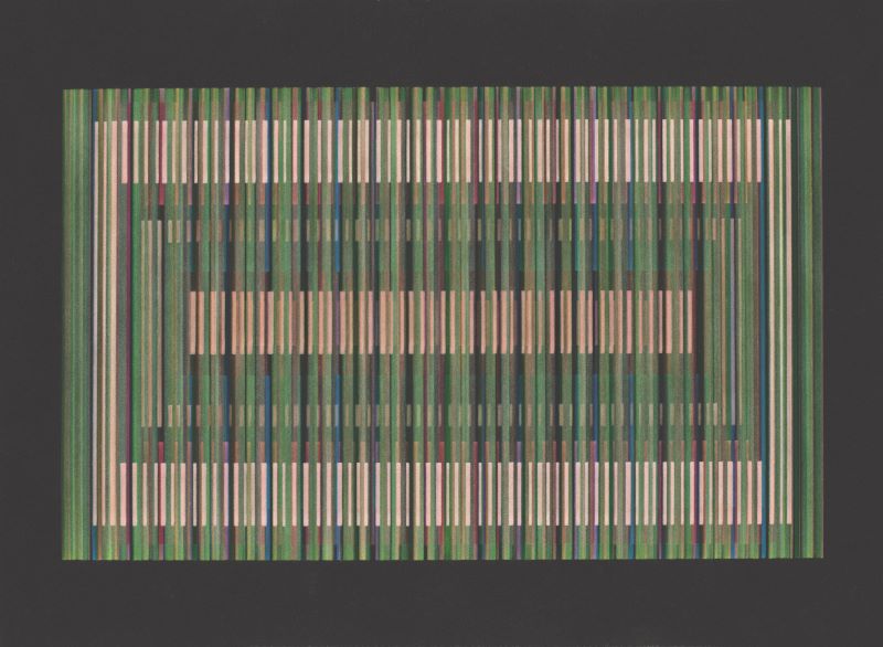 Print of many colorful lines on a black background. Lines are in various shades of beige, green, blue, red, purple, orange.