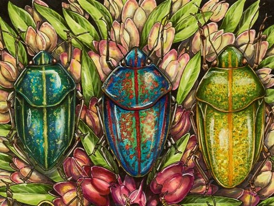 brightly colored illustration of koa bugs. Detail from "Koa Bug Colorways" by Saxony Charlot.
